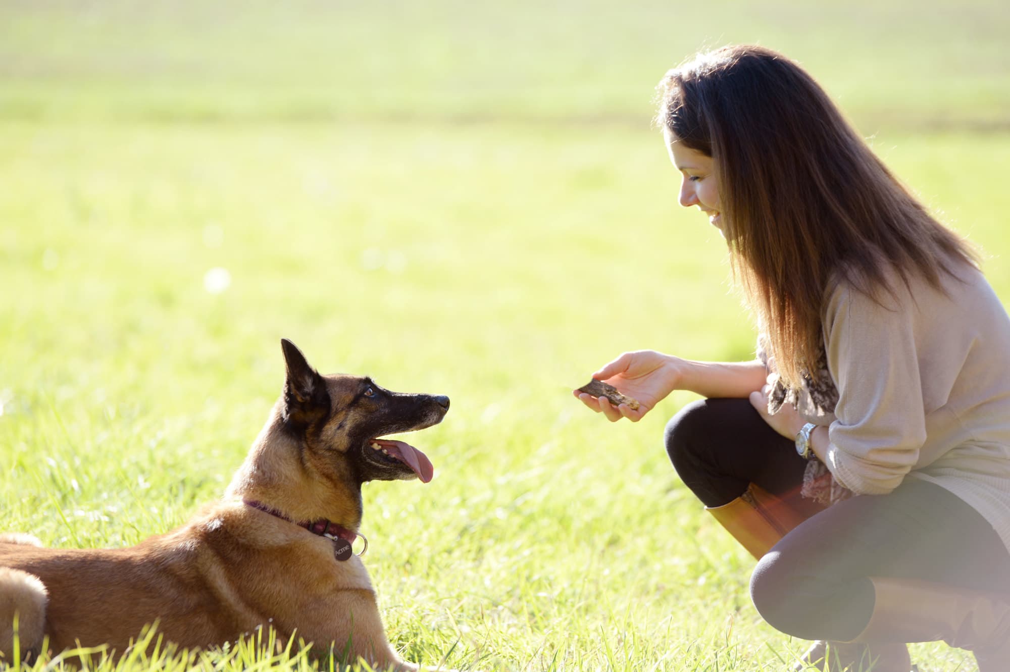 Aude en séance de communication animale avec un chien