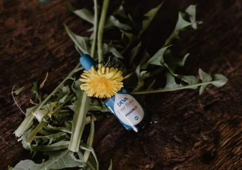 Flacon elixirs floral pissenlit
