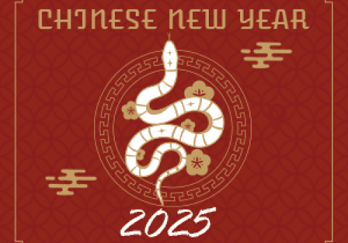 nouvel an chinois 2025 serpent bois